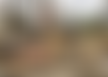 TORNADO DESTROYS GOLDEN FAMILY FARM, NO INJURIES REPORTED