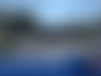 PCADD Developmental Support Center Funded