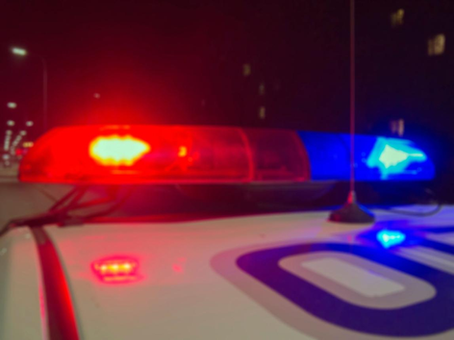 BAYLIS WOMAN PLEADS GUILTY BUT MENTALLY ILL