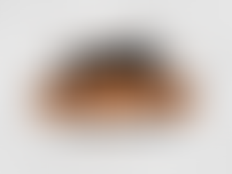 LOCAL LIVESTOCK SHOW HELPS FAMILIES BATTLING LEUKEMIA