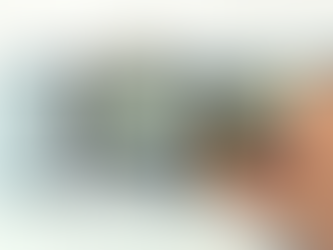 COUNTERFEIT BILLS REPORTED IN LOUISIANA