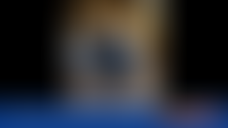 K-9 Maverick Joins Pittsfield Police Department