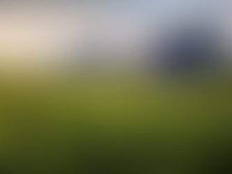 ILLINOIS SOLAR LAW SPARKS CONCERNS OVER LOCAL CONTROL, PROJECT EXPANSION