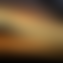 MEREDOSIA BOARD TALKS BURGLARIES, PROPERTY SALE, STOP SIGNS