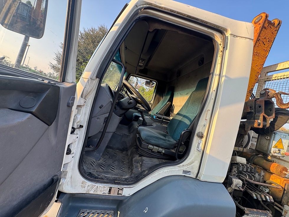 Miniatura: DAF LF RIBALTABILE + GRU (Patente B)