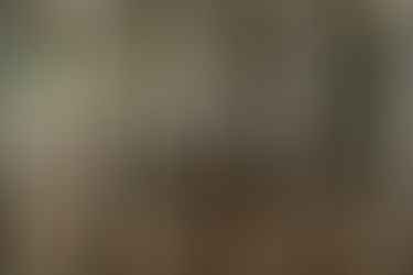 PUBLIC HEARING SET ON PERMANENT CLOSURE OF GREENE COUNTY WORK CAMP