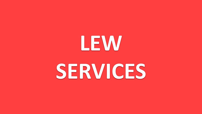Svcs - (Electric) Lew Consultant Fee