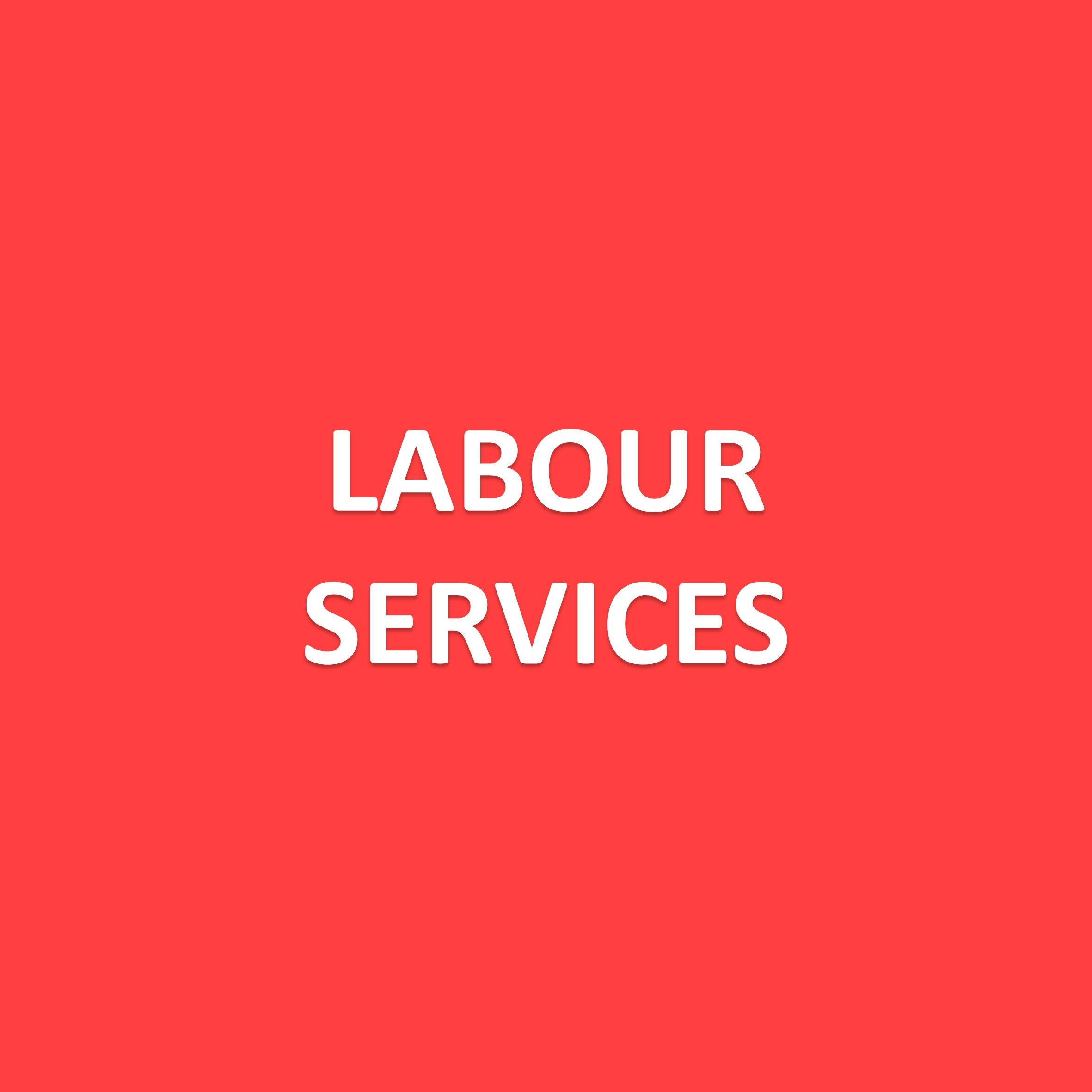 Svcs - Labour 2; Per Hour