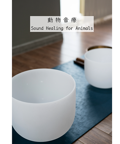 Untitled - October 30, 2025 at 19.36.45 (1) (6).png
