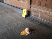 60IMG_9355.jpeg