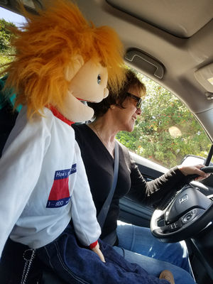 Driving with Narly