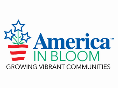 Untitled design (51).png