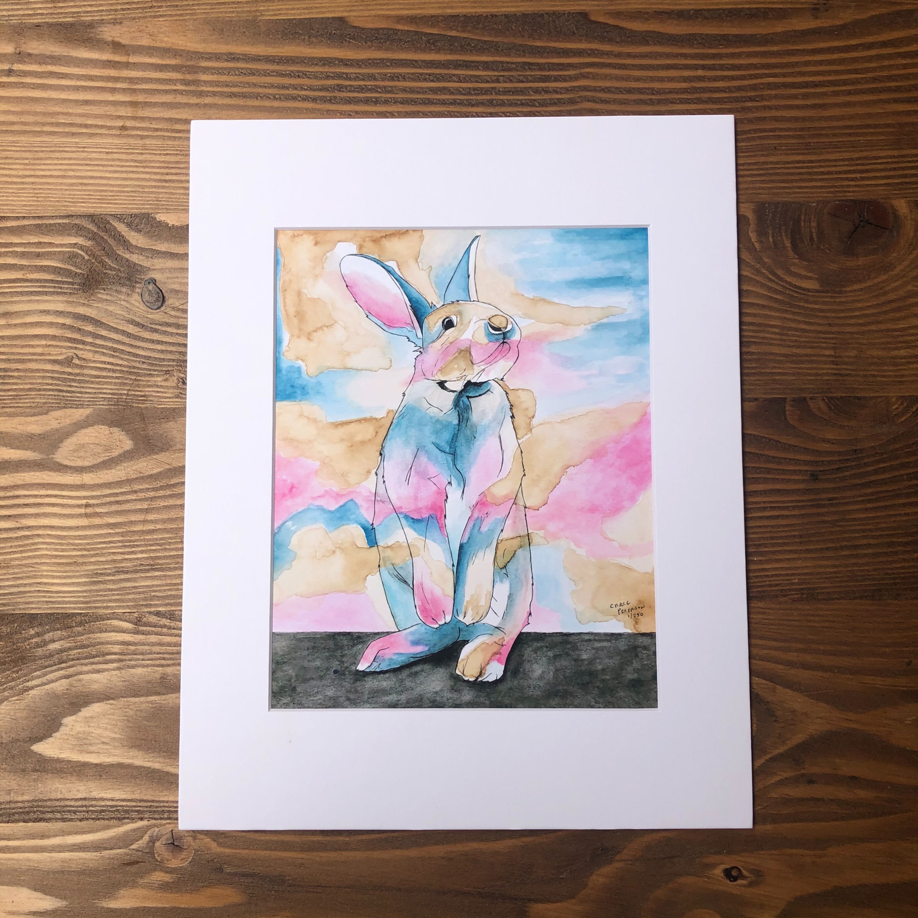 Pink and Blue Bunny