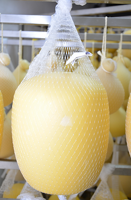 Rete in plastica tubolare per confezionamento mitili
