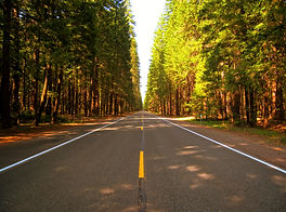 pavement repair products