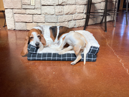 A YEAR WITH OAKLEY