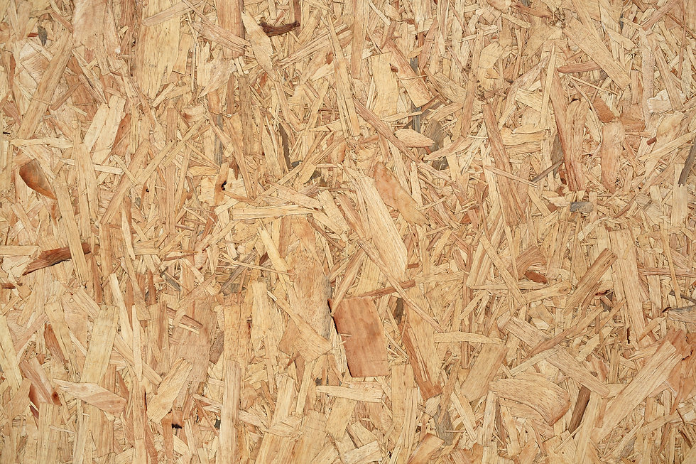 AdobeStock_313597216.jpeg