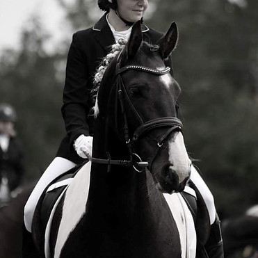 tobiano-friesian-skovbjerggaards-ginger
