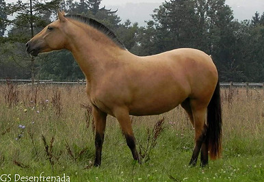 xBW76IE.jpg