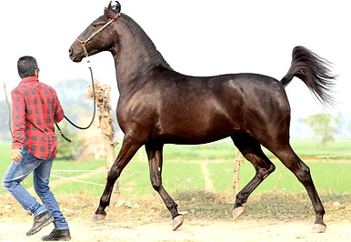 f7ObASI.jpg