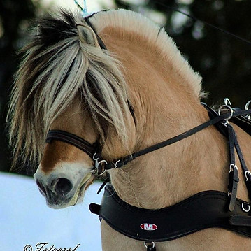 27573468_184110802359868_438350032445584