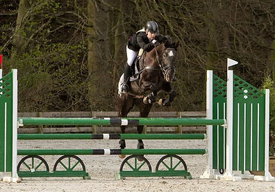 knabstrupper-sherdil-knn-185 (3).jpg