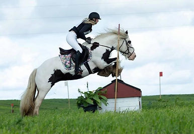 irish-cob-whiteface-gypsy---part (1).jpg