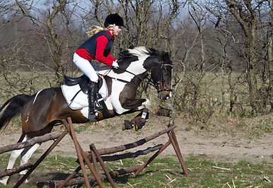 pinto-stroegaardens-mr_jones (2).jpg