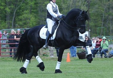 Lj9Ab4e.jpg