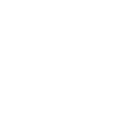 impact-icon-white.png