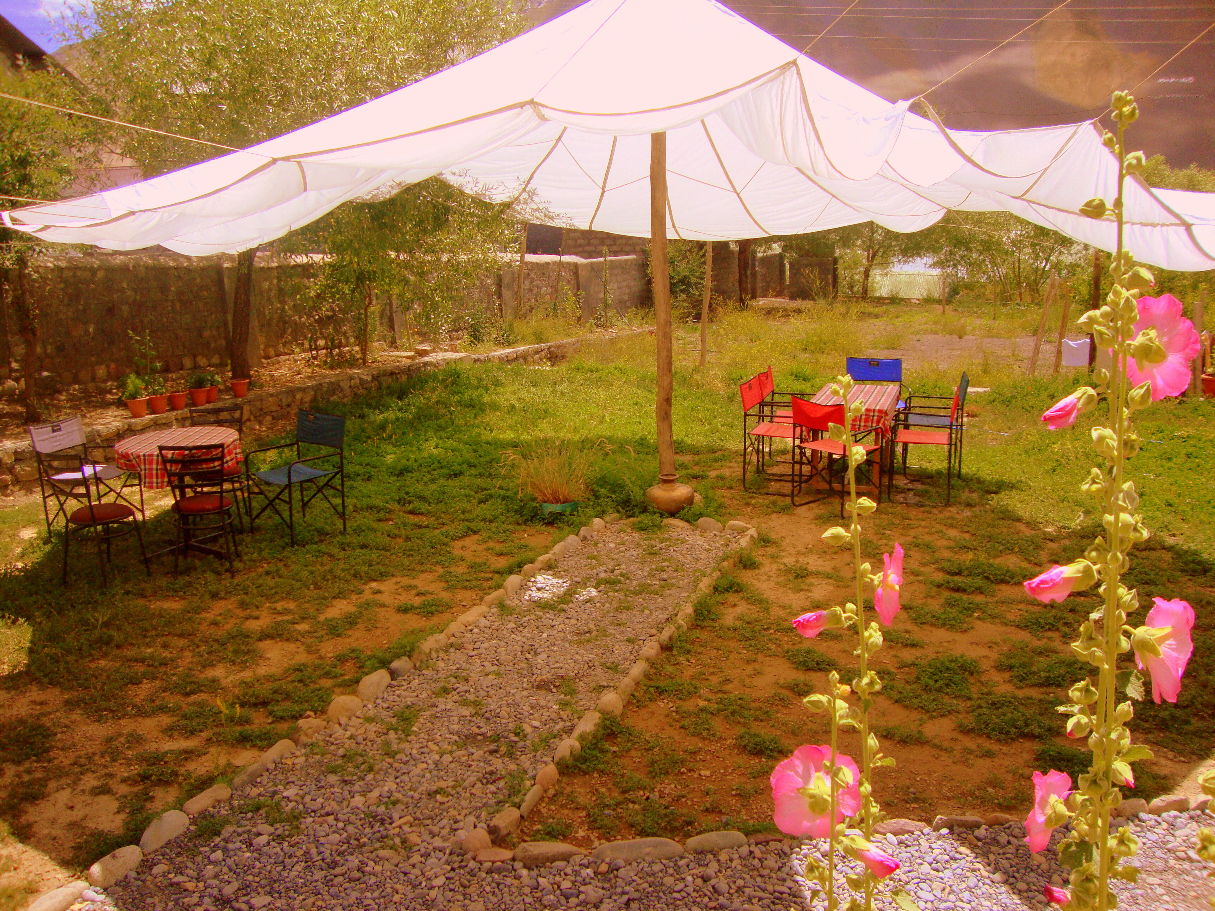 Garden cafe (2)