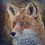 Miniaturbild: Fineart-Print "Fuchs-Portrait"