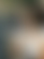 Life logo & art direction