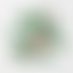 Distilleria Bortolo Nardini label design