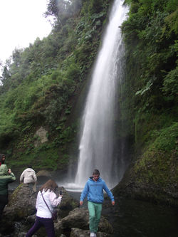 Cascadas - Tocoihue