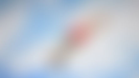 Falou-se português na Rússia