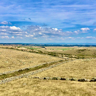 Fifty's Senses / Aubrac