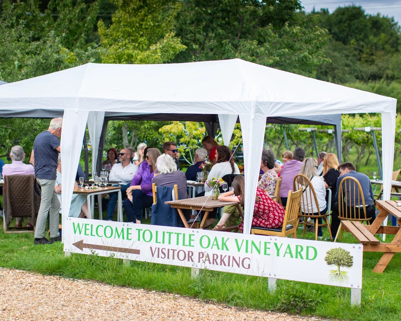 little-oak-vineyard-second-vine-leasing-party-2020.jpg.webp