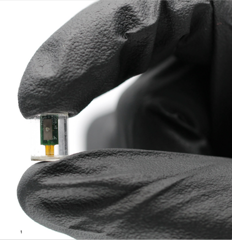 Screen Shot 2022-08-09 at 8.45.19 PM.png