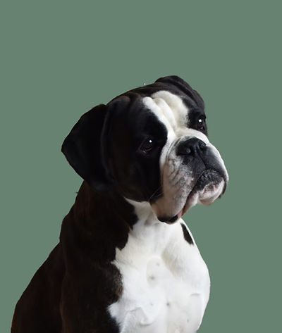 molly_InPixio_edited.jpg