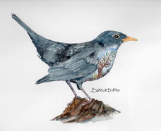 BlackBird