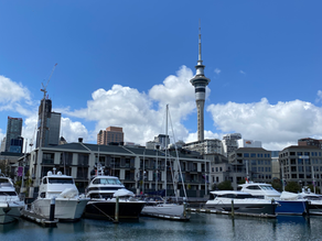Auckland Harbour
