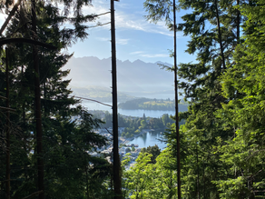 Things to do in Queenstown (without a car)