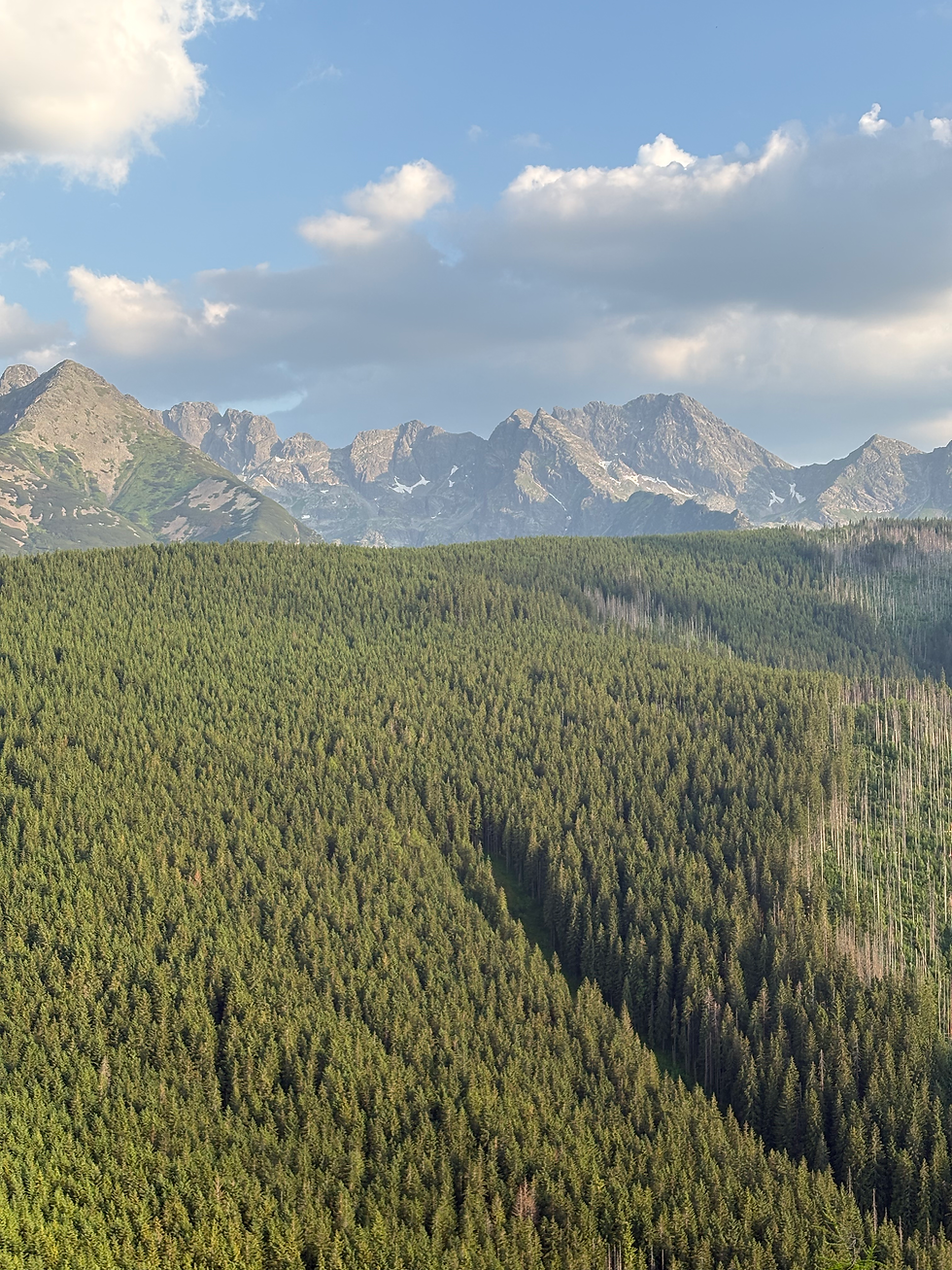 Polish Tatra mountains