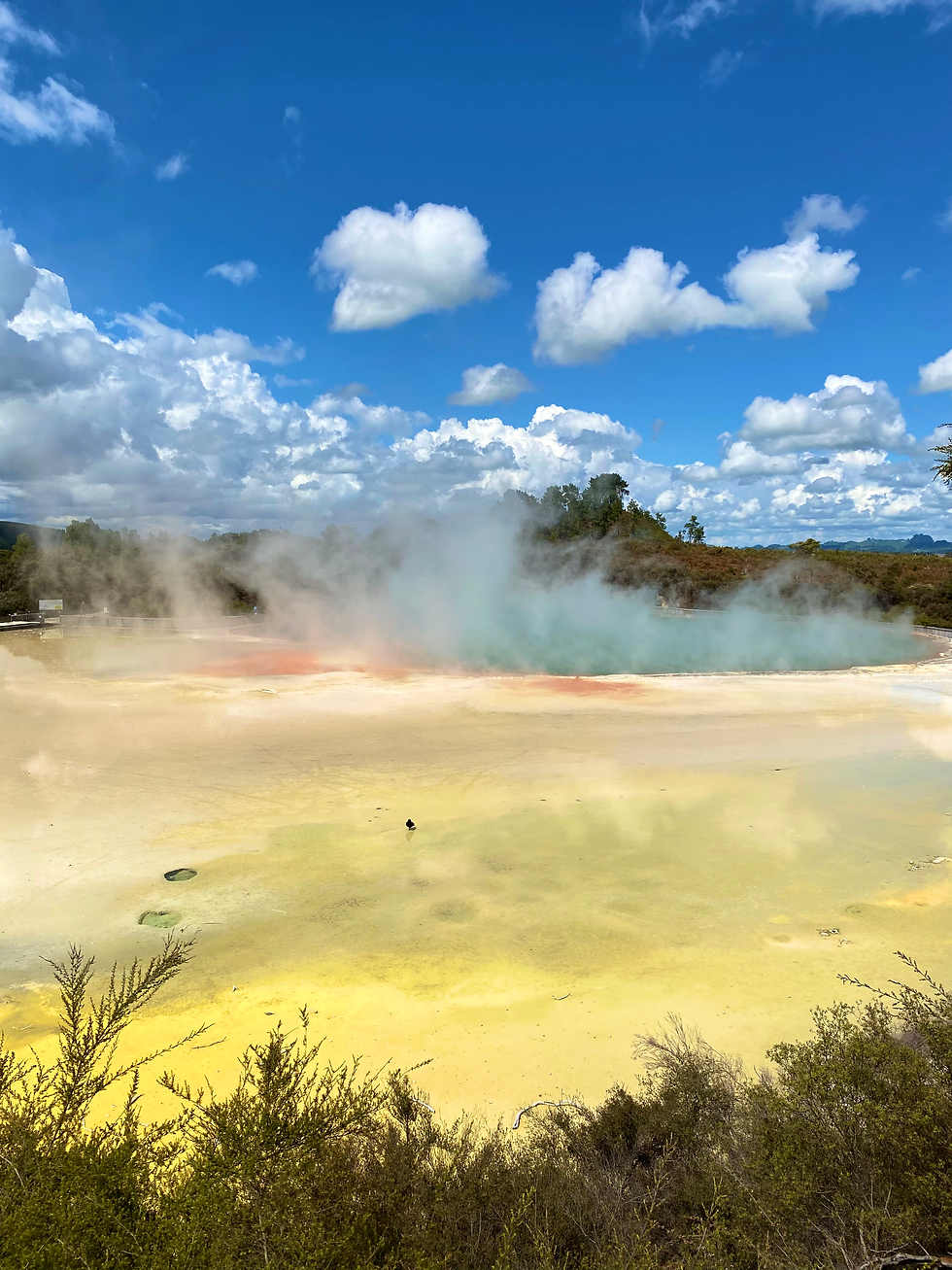 Sulfur pools in Rotorua