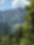 Mountains with a lake and forest