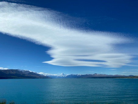 How to get around New Zealand Without a Car