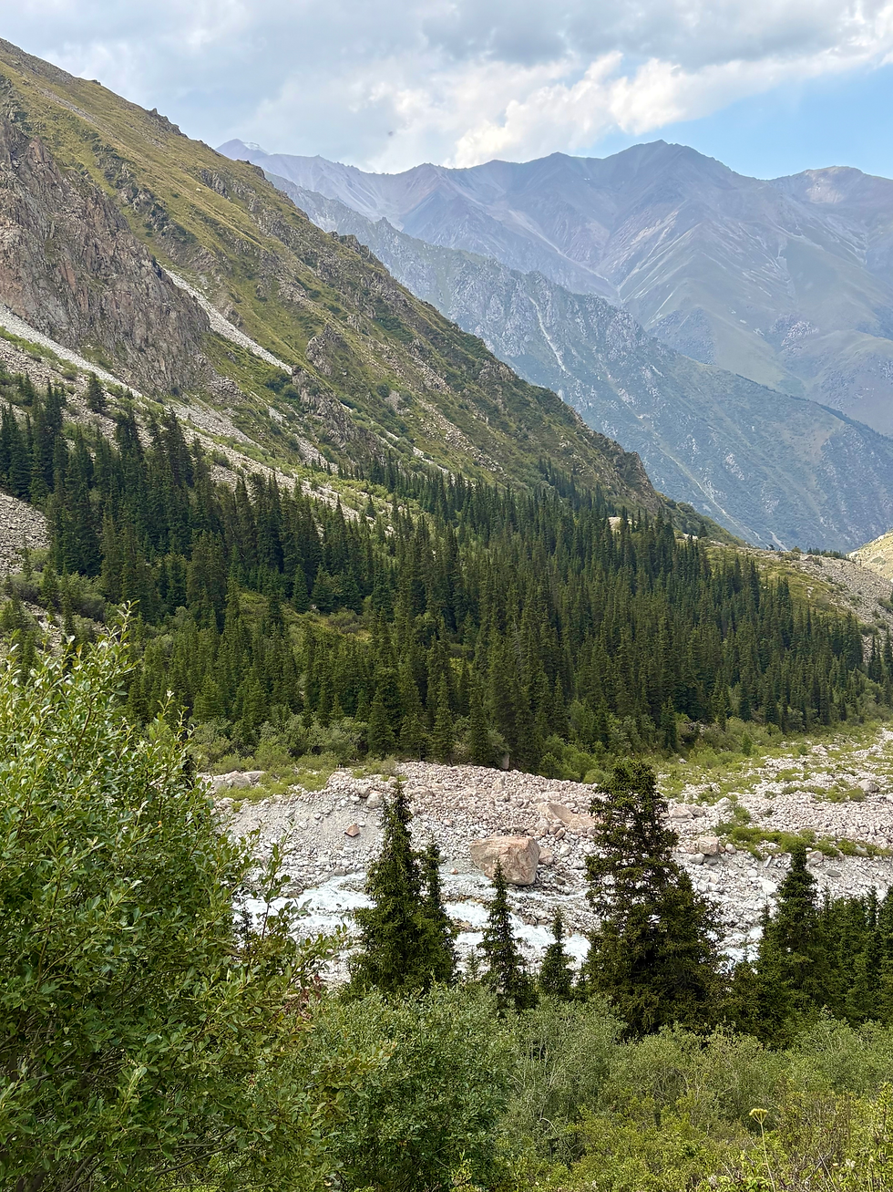 River valley in the mountains