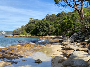 Beach on the Manly to Spit Coastal Walk