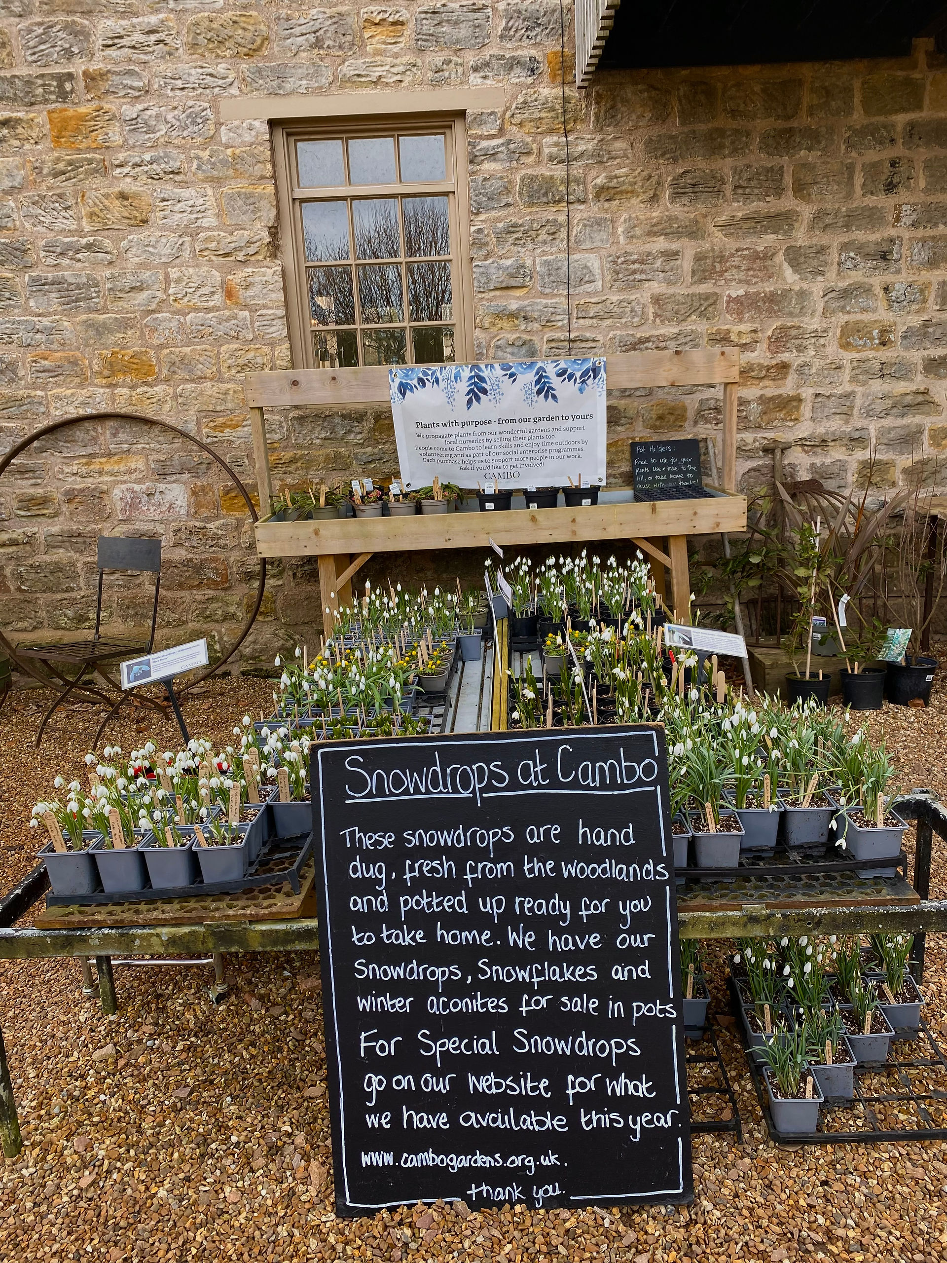 Cambo Gardens